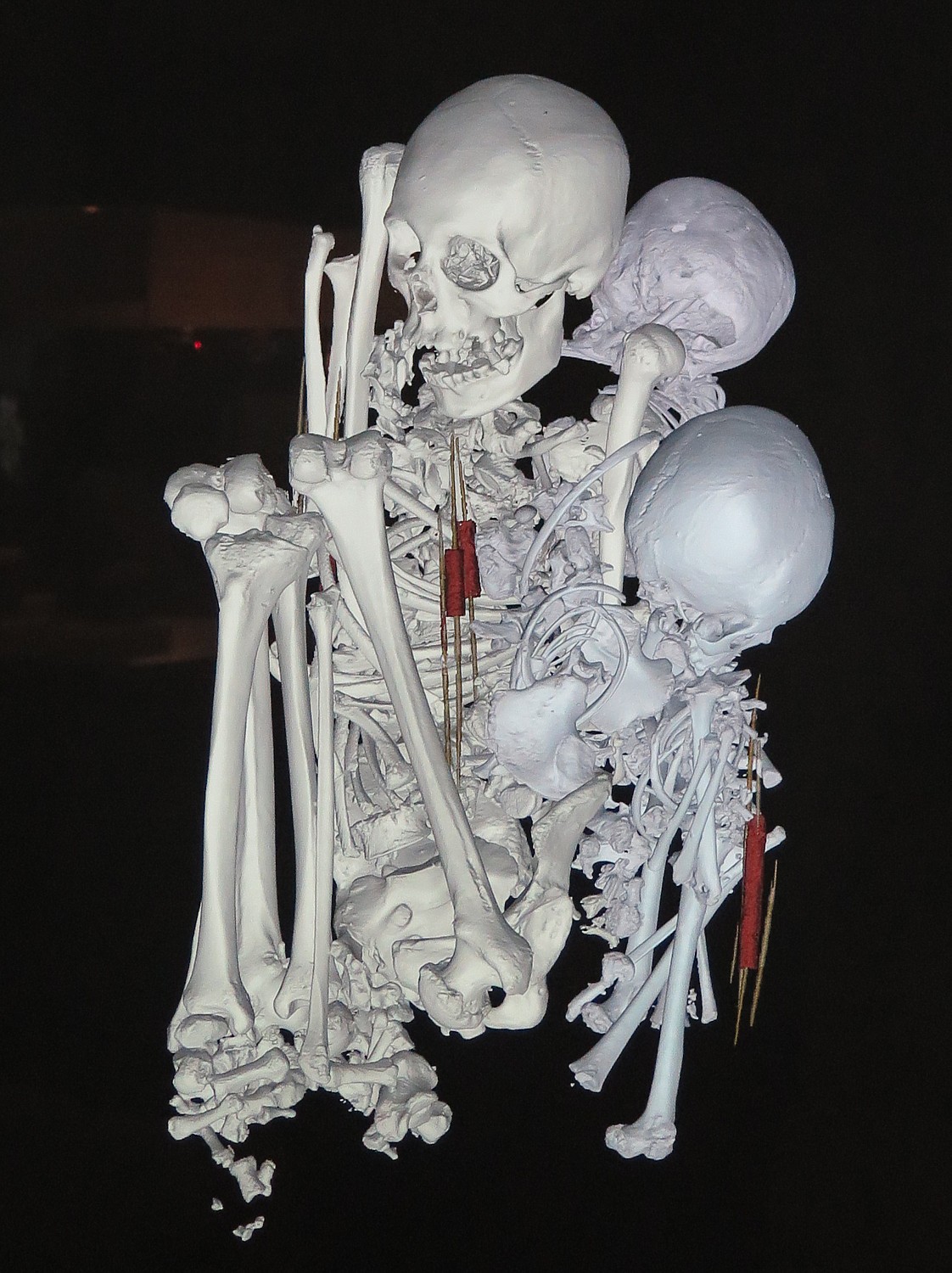 " Mummies," American Museum of Natural History, NYC