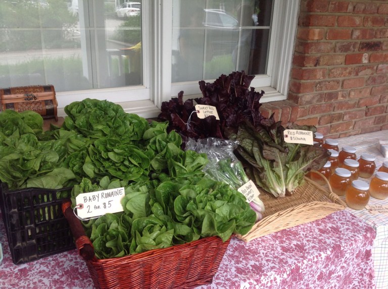 Old Westbury hosts semimonthly farmers market