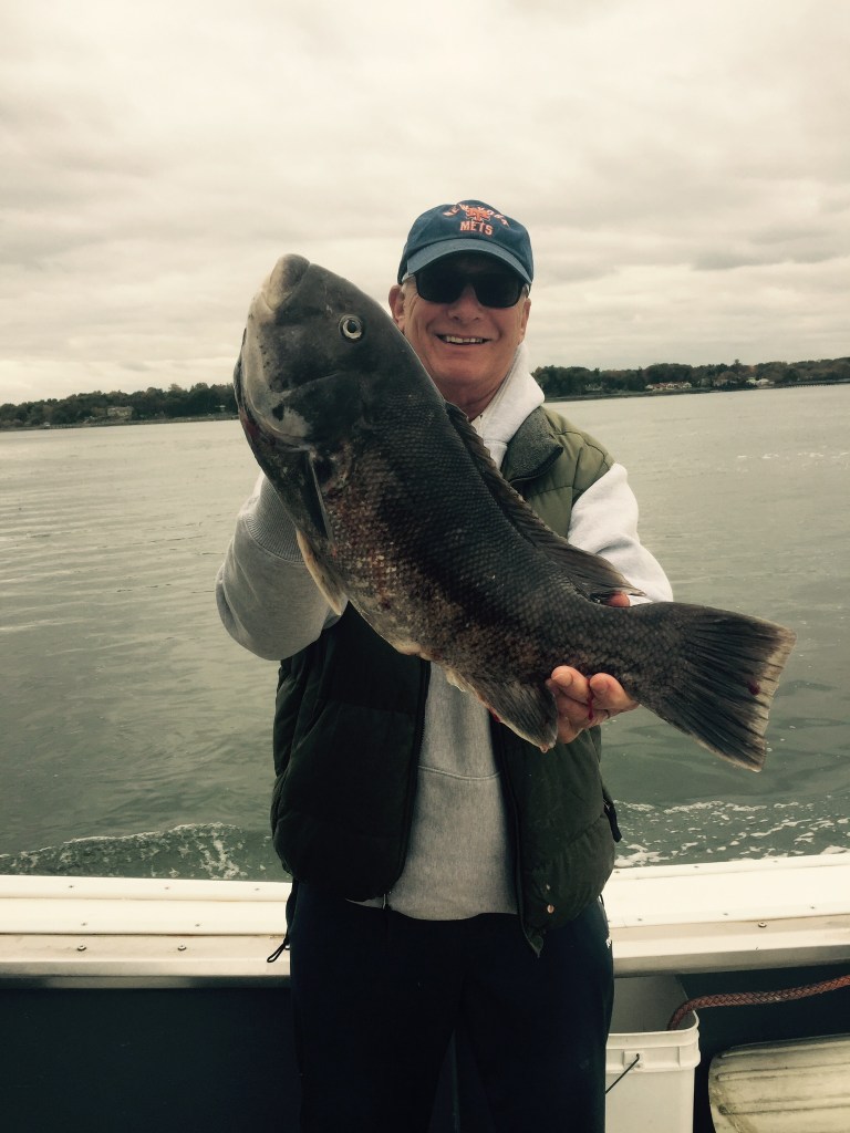 Blackfish: a delicious and unappreciated catch Blackfish: a delicious and unappreciated catch