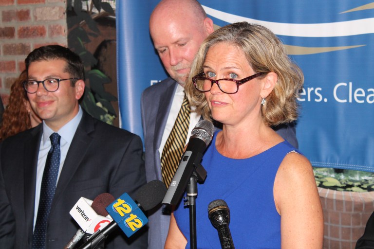 Laura Curran wins Nassau County executive primary Laura Curran wins Nassau County executive primary