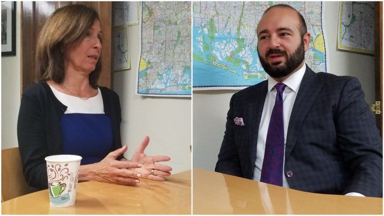 David Adhami and Ellen Birnbaum cast themselves as independent voices in county legislator race