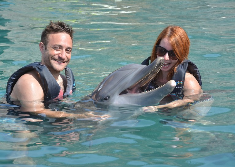 Dolphin Quest a memorable way to experience Bermuda