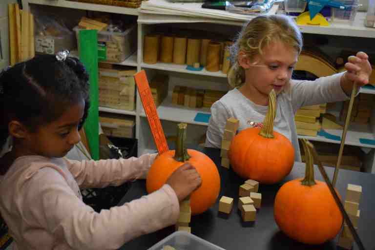 Students are at full STEAM with pumpkins Students are at full STEAM with pumpkins