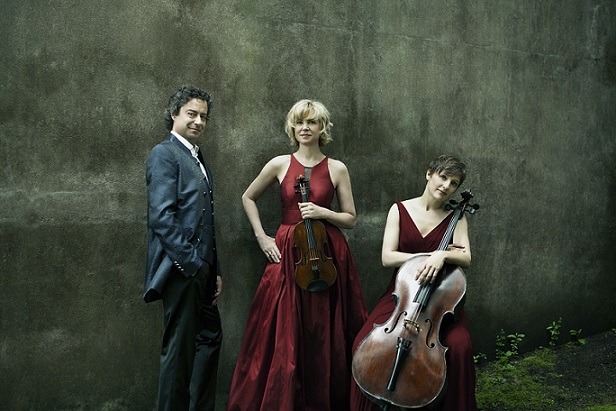 Trio Solisti ensemble to perform at Adelphi University on Nov. 18