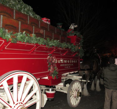 Floral Park tree lighting is like a real life Hallmark movie, board says