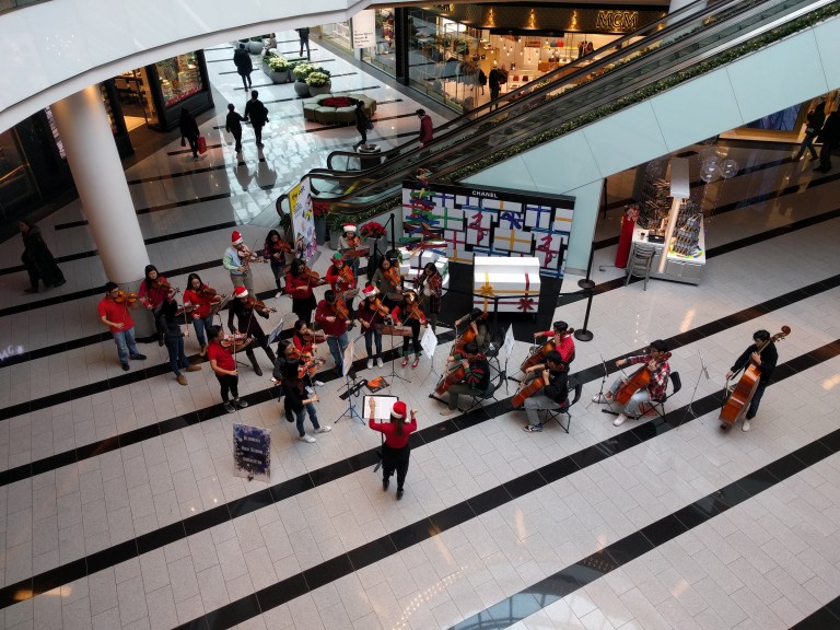 Herricks musicians share seasonal sounds