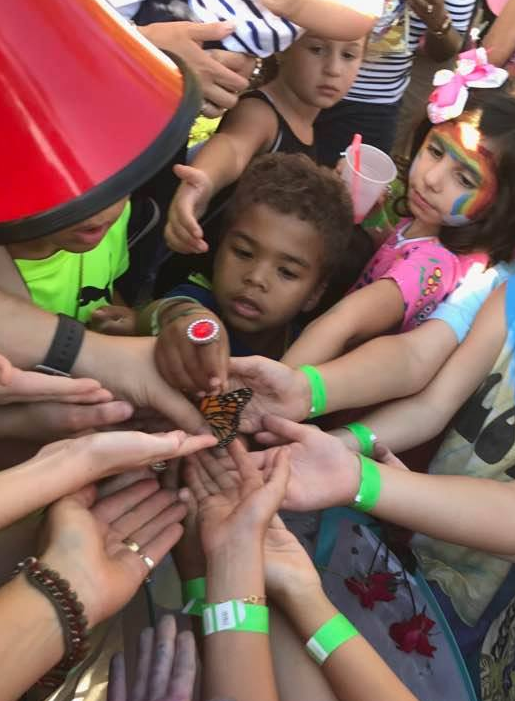 The Port Washington Monarch Butterfly Alliance emerges from its chrysalis
