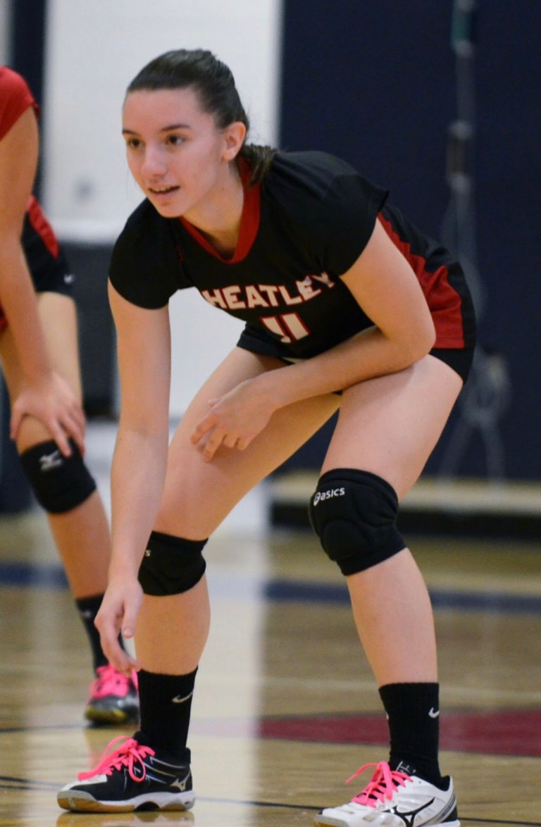 Wheatley volleyball player receives state recognition