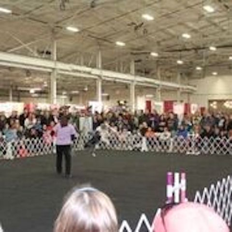 L.I. Pet Expo returns L.I. Pet Expo returns