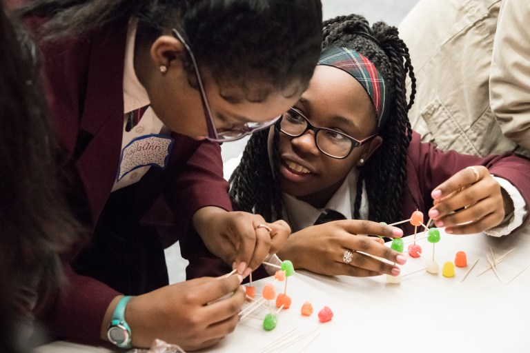 NYIT Old Westbury hosts Introduce a Girl to Engineering Day