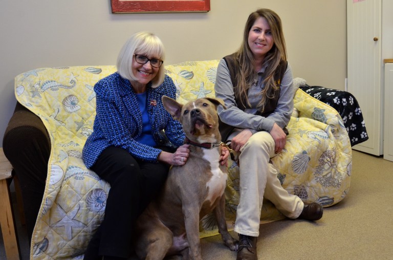 North Hempstead announces free rabies clinic North Hempstead announces free rabies clinic