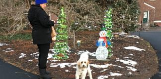 A resident and her dog strolling through Clark Botanic Garden at last year's Winter Wonderland event. (Photo courtesy of the Town of North Hempstead)