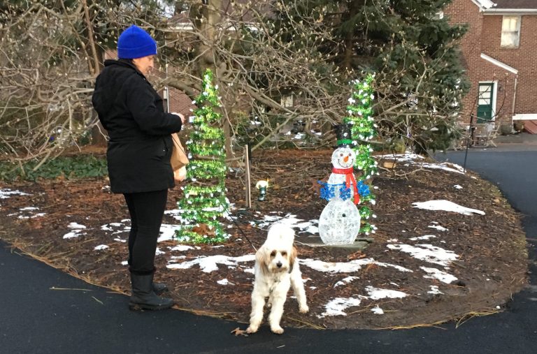 Town seeks to bring dog days to Clark Botanic Garden Town seeks to bring dog days to Clark Botanic Garden