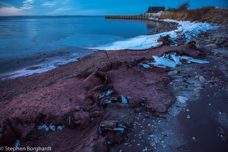 A push to ban water-soluble fertilizer in New York