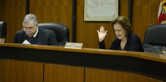 Great Neck Plaza Mayor Jean Celender votes to let LKB provide engineering review services on a possible future parking lot conversion project. (Photo by Janelle Clausen)