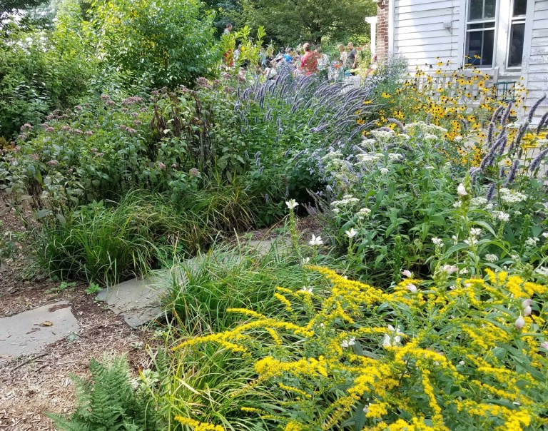 North Shore Audubon Society hosts native plant presentation