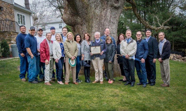 Flower Hill honors 400-year-old tree