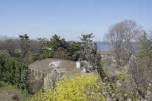 Flora and trees encase much of the property, which has numerous homes and accessory structures. (Photo by Janelle Clausen)