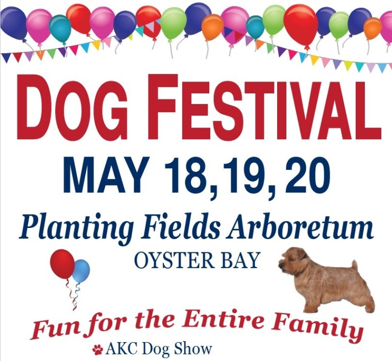 A dog day afternoon in Oyster Bay