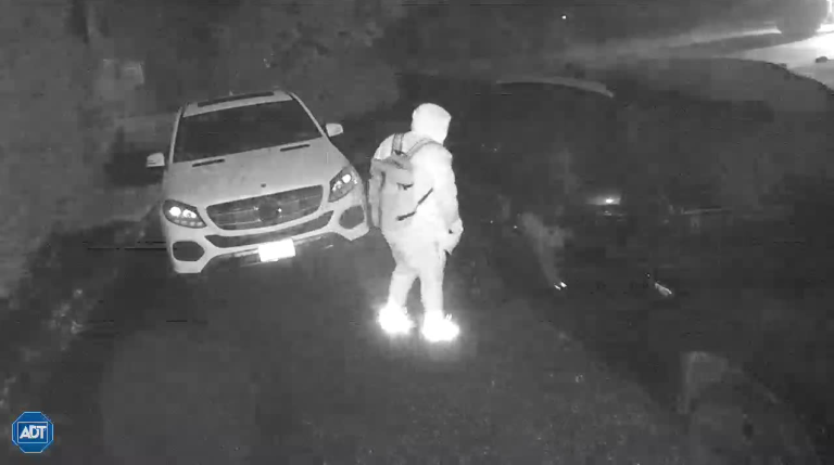 Four car break-ins reported in East Williston, police say