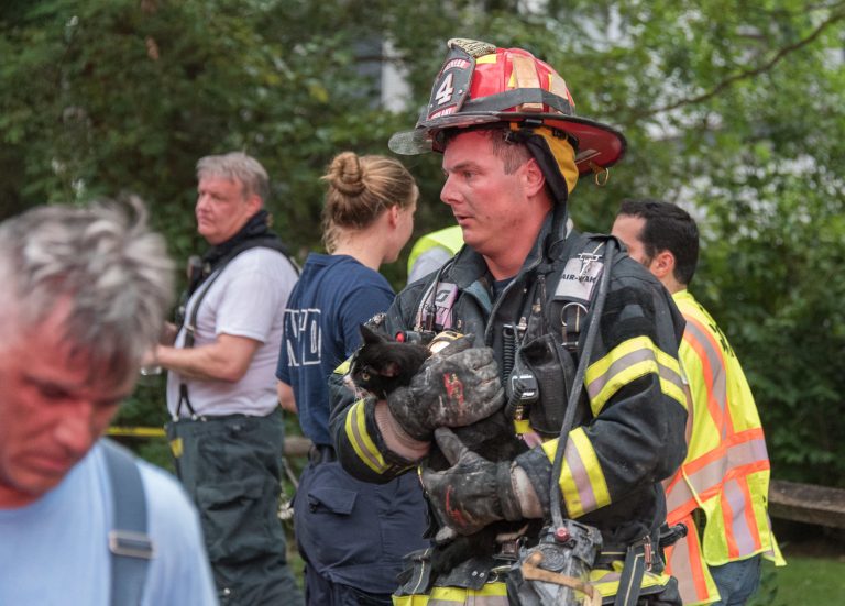 Fire companies tame Miller house fire in Great Neck, rescue cats