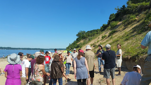Learn about local wild plants at nature walk Learn about local wild plants at nature walk
