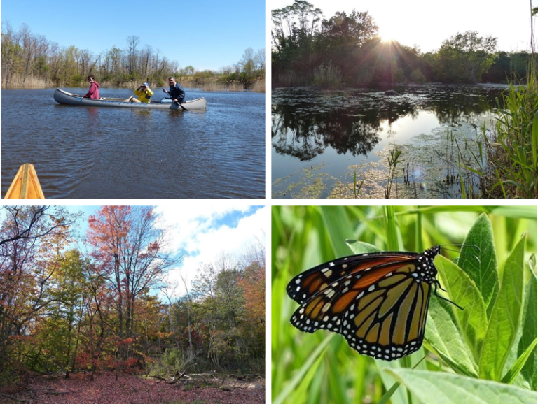 The Hempstead Harbor Preserve, Port Washington’s greatest secret