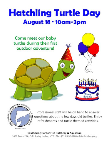 The Island Today: The top events for kids for the coming week The Island Today: The top events for kids for the coming week