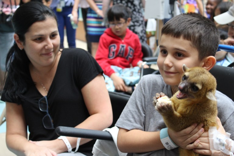 Cohen brings zoo animals to hospital-bound kids