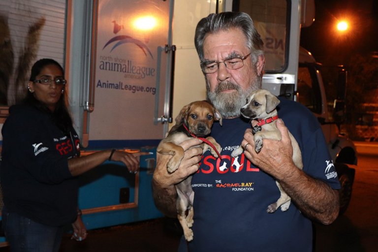 North Shore Animal League America rescues pets from Hurricane Florence