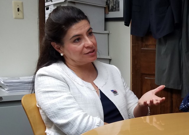 Town Councilwoman Anna Kaplan, a Democrat from Great Neck, speaks to Blank Slate Media. (Photo by Janelle Clausen)
