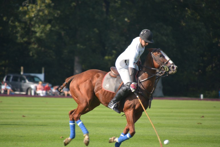Our Town: the growing popularity of polo on Long Island