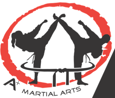 New Great Neck martial arts studio to be headed by Olympian, professional fighter