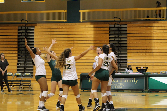 LIU Post volleyball notches another win LIU Post volleyball notches another win