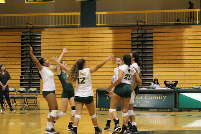 LIU Post volleyball notches another win