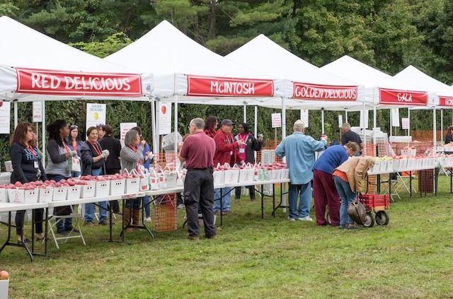 Mill Neck Apple Festival drew thousands to L.I. Mill Neck Apple Festival drew thousands to L.I.