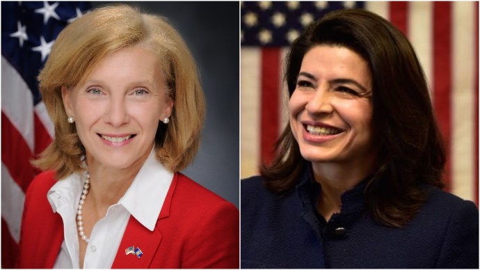 Mailers from independent groups and party committees have cast Elaine Phillips and Anna Kaplan in starkly different lights. (Photos from the candidates)