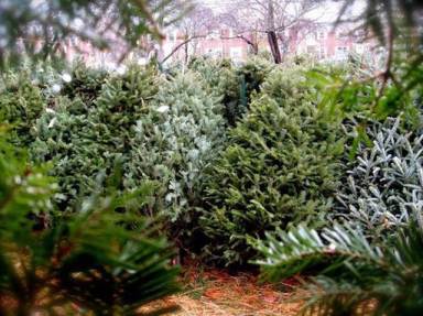 Enjoy late-night holiday shopping in Huntington