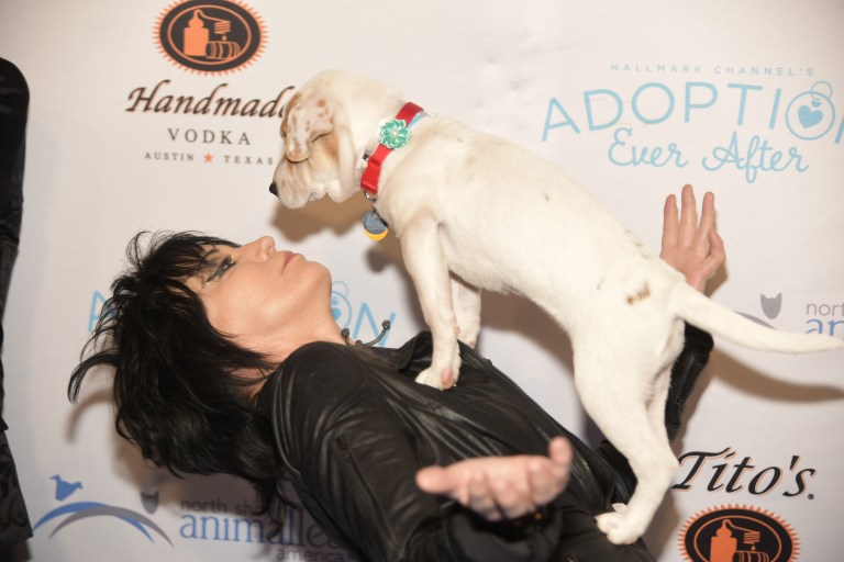 North Shore Animal League America’s “Get Your Rescue On Gala” rocks New York City North Shore Animal League America’s “Get Your Rescue On Gala” rocks New York City
