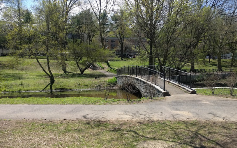Trees to be added to Manhasset Valley Park Trees to be added to Manhasset Valley Park