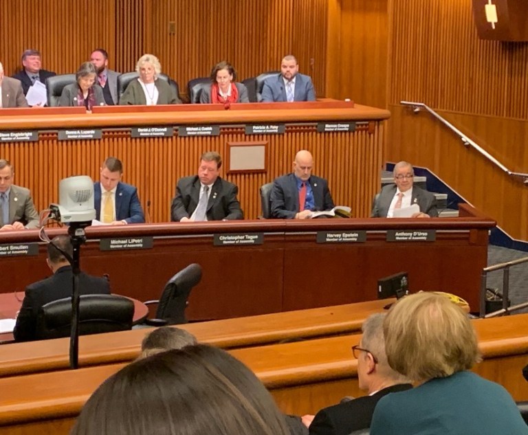 D’Urso attends budget hearing on environmental conservation D’Urso attends budget hearing on environmental conservation