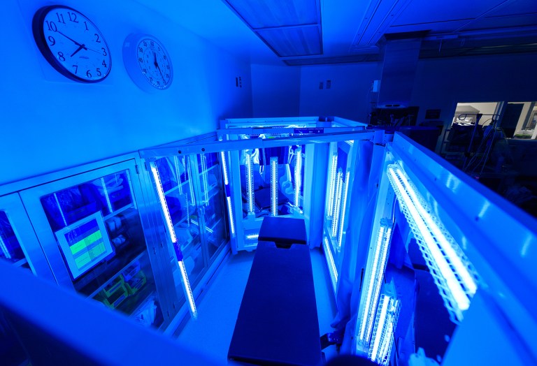 Ultraviolet disinfection 97.7 percent effective in eliminating pathogens in hospital settings, study shows Ultraviolet disinfection 97.7 percent effective in eliminating pathogens in hospital settings, study shows