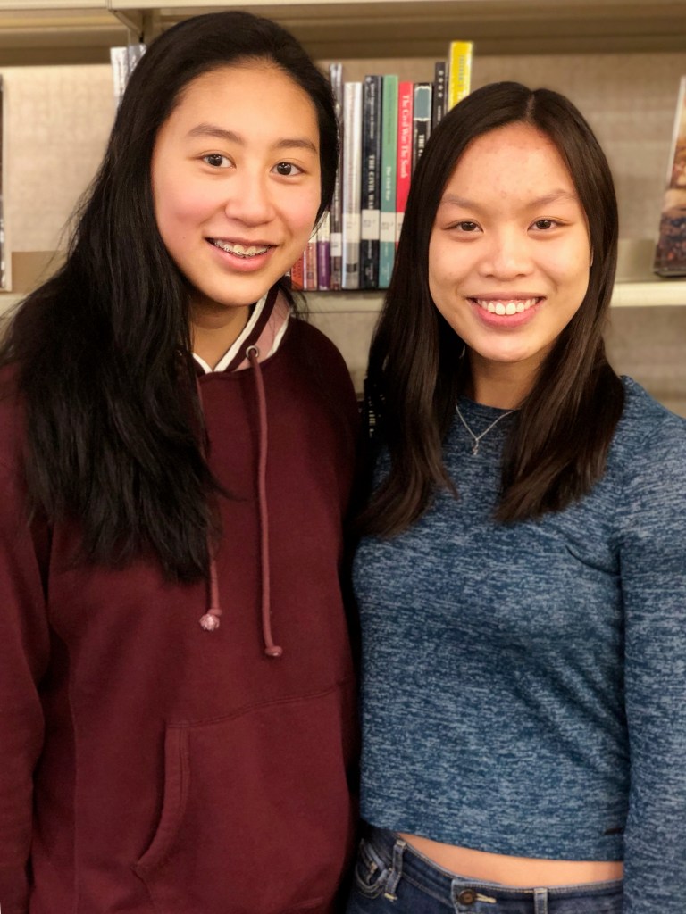 Herricks writers win more awards