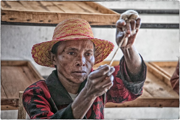 Discover the mysteries of Madagascar at Port Library
