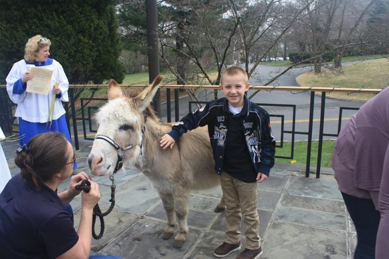 Fester the donkey ushers in Manhasset Holy Week Fester the donkey ushers in Manhasset Holy Week