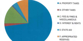 Nearly three quarters of the Village of Great Neck's budget comes from property taxes. (Chart from the Village of Great Neck)