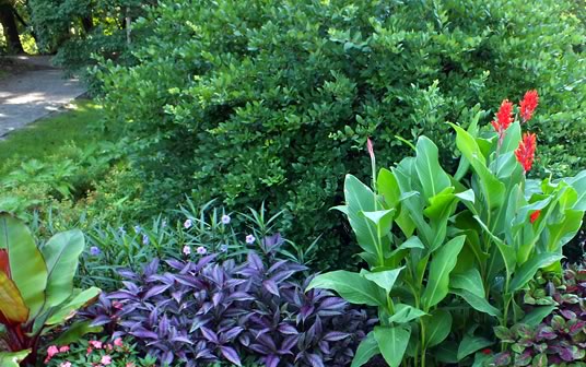 Clark Garden plant sale over Mother’s Day weekend