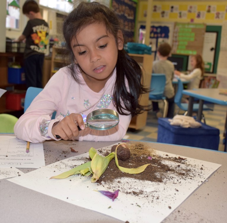 Science in a flexible setting in Floral Park Science in a flexible setting in Floral Park