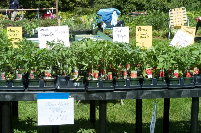 50th Annual Spring Plant Sale at Clark Botanic Garden 50th Annual Spring Plant Sale at Clark Botanic Garden