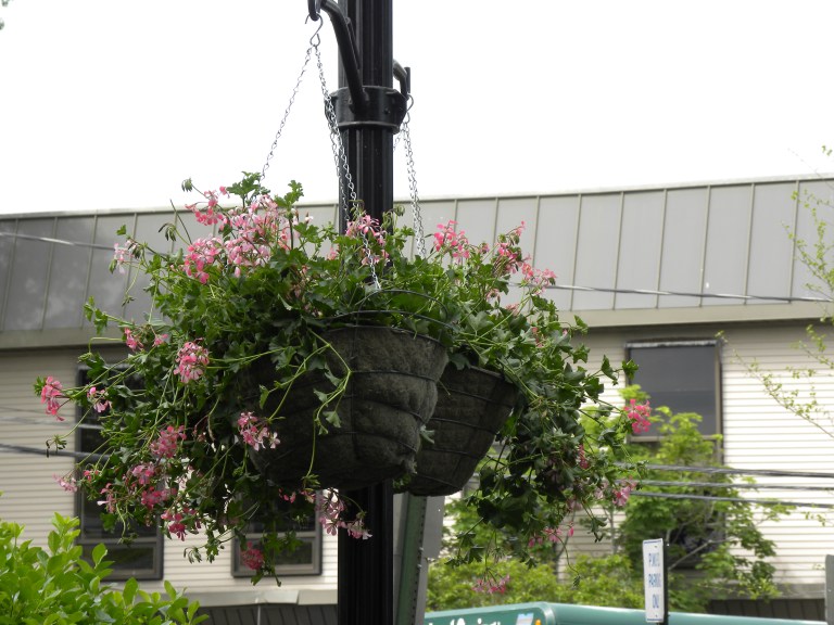 Greater Port Washington BID spruces up Port Commons and Main Street Greater Port Washington BID spruces up Port Commons and Main Street